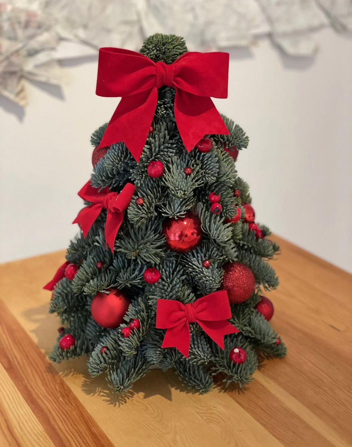 Choinka - Marry Christmas - żywa - Image 5