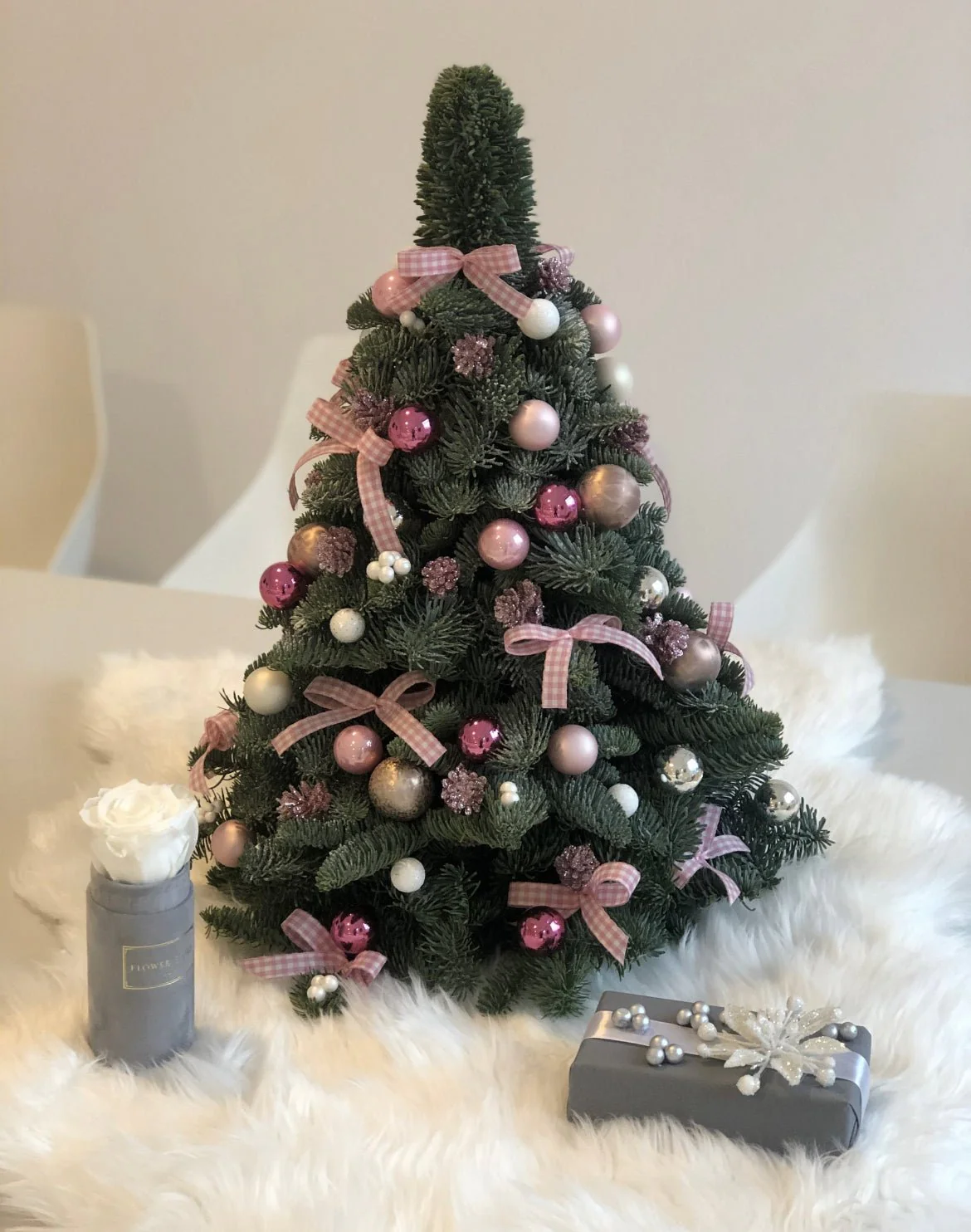 Choinka - Marry Christmas - żywa - Image 6