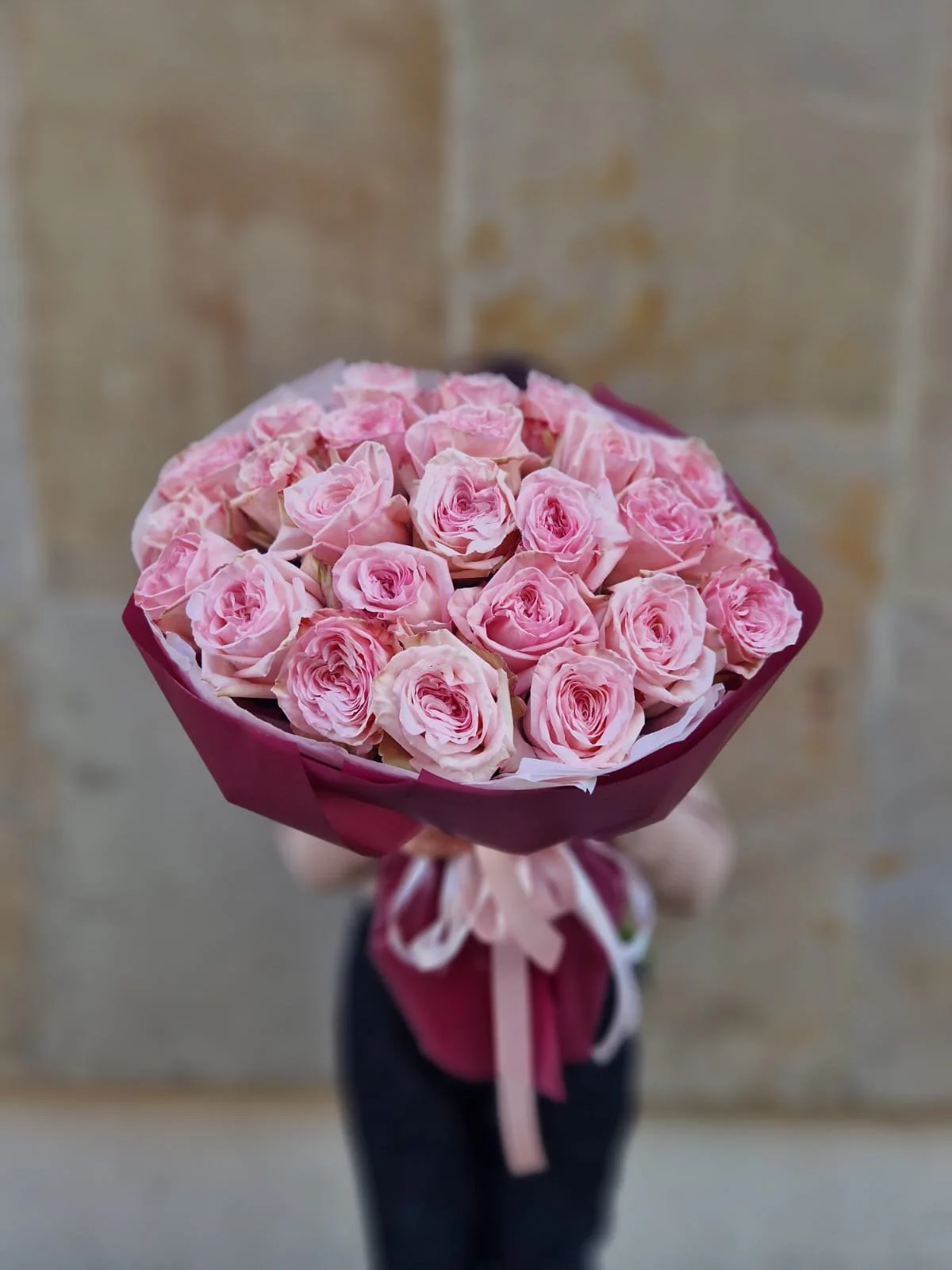 Róża Pink Ohara - Image 4